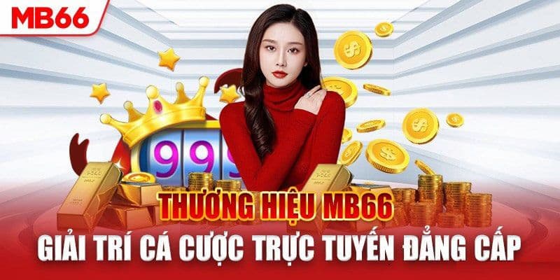 MB66 Các Dịch Vụ Hỗ Trợ Tại MB66