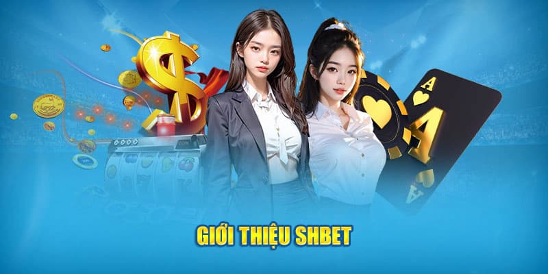 SHBET SHBET – Một Nhà Cái Uy Tín Được Lựa Chọn Nhiều