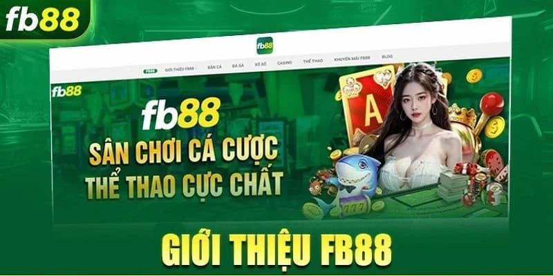 Tại Sao Nên Chọn fb88? Tại Sao Nên Chọn fb88?